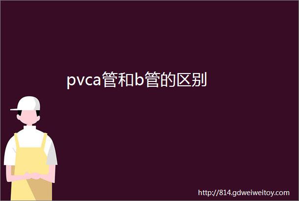 pvca管和b管的区别